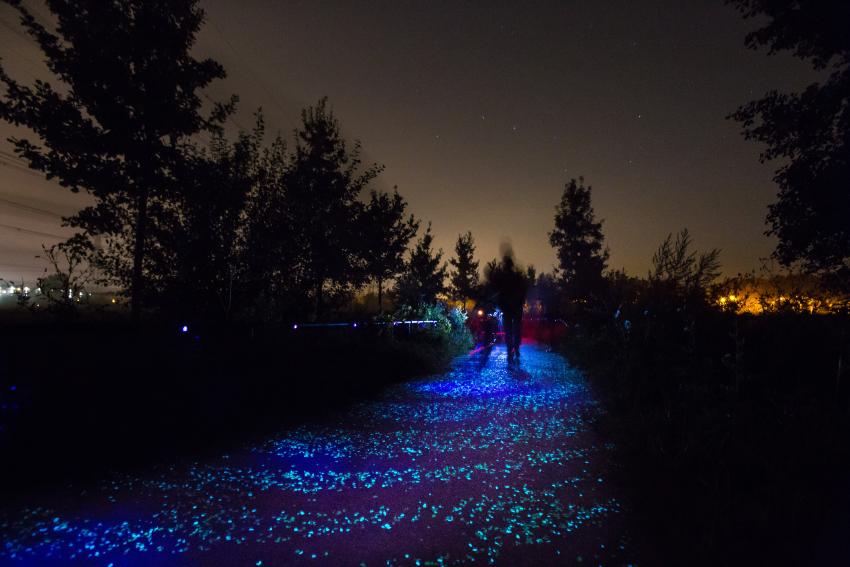 Photo of Van Gogh Nuenen lit path
