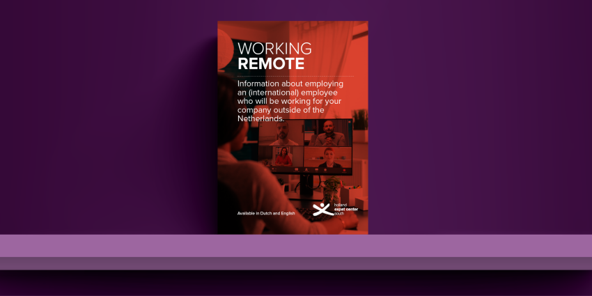 Image of Remote Working Guide