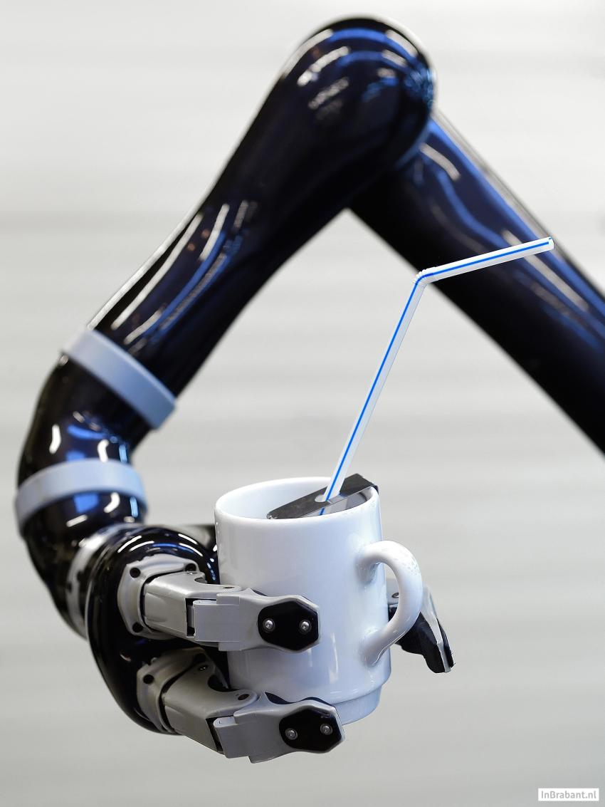 Arm of a personal robot from Focal Meditech