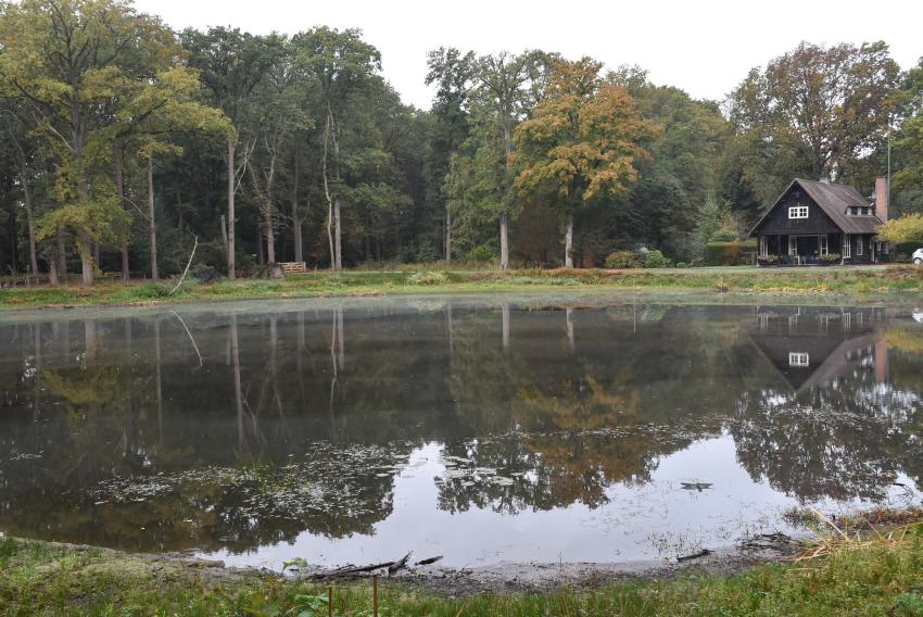 The hut van oom Ton surrounded by woods and with a lake in front
