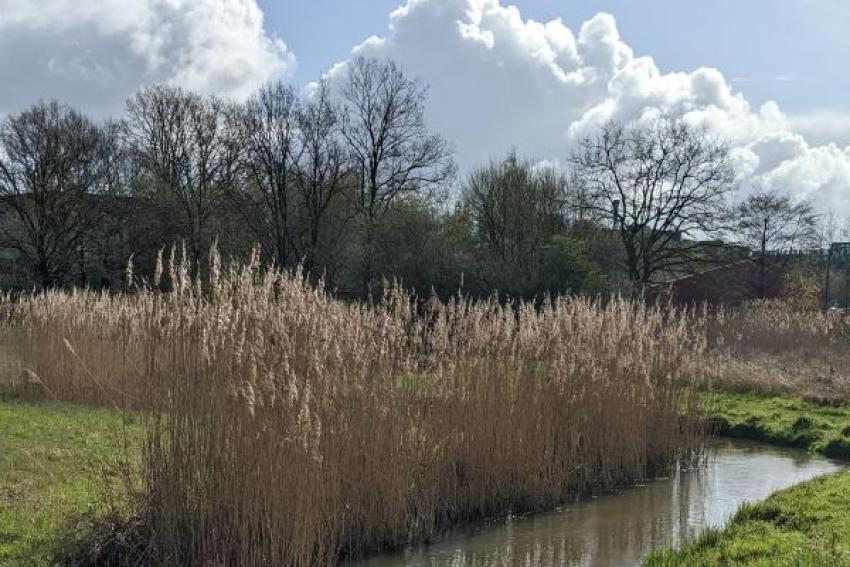 A stream in the countryside on a sunny day