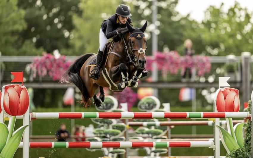 Horse and rider showjumping