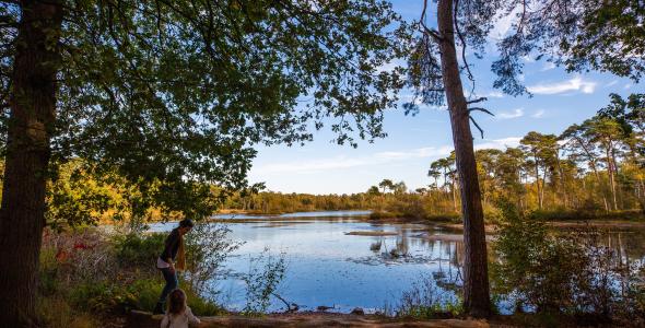 Photo of a lake in the woods in Brabant