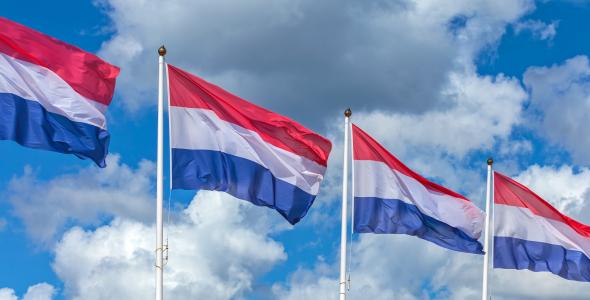 Photo of four Dutch flags 