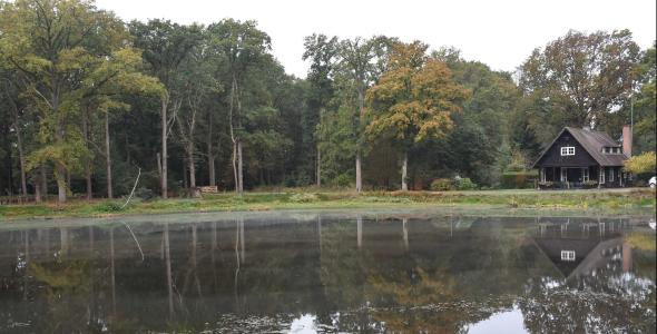 The hut van oom Ton surrounded by woods and with a lake in front
