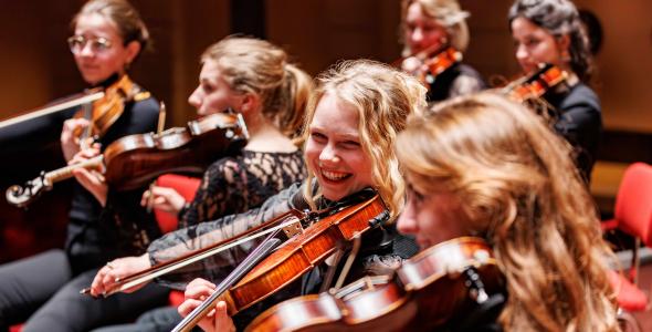 Violinists in the orchestra