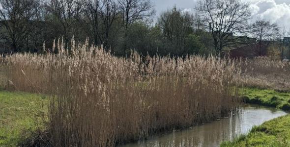 A stream in the countryside on a sunny day