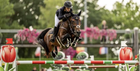 Horse and rider showjumping