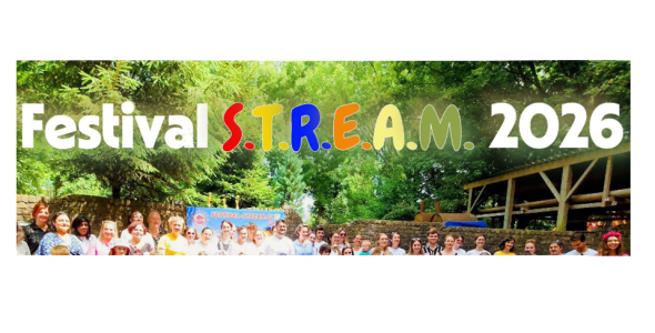Participants at a STREAM festival