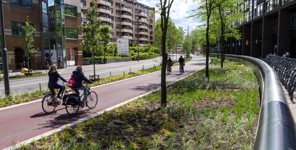Cyclists on a cycle path