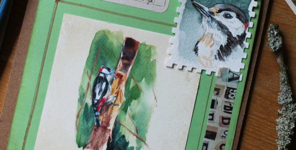 Drawing of a bird in color
