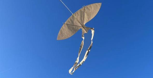 A kite in a clear blue sky